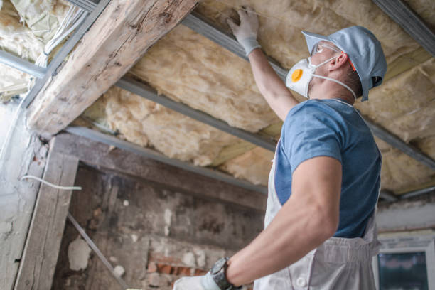 Best Insulation Materials and Products in Crystal Lawns, IL