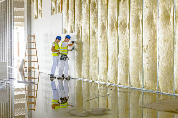 Best Types of Insulation in Crystal Lawns, IL